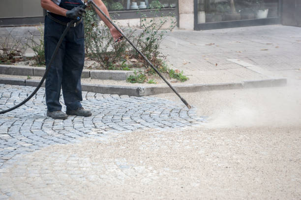 Trusted Palestine, IL Pressure Washing Services Experts